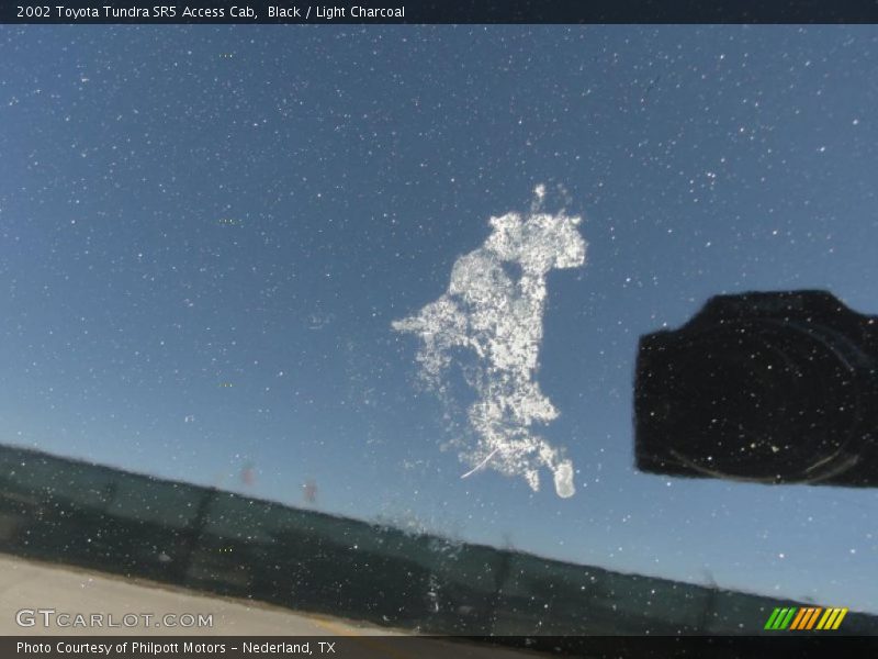Black / Light Charcoal 2002 Toyota Tundra SR5 Access Cab