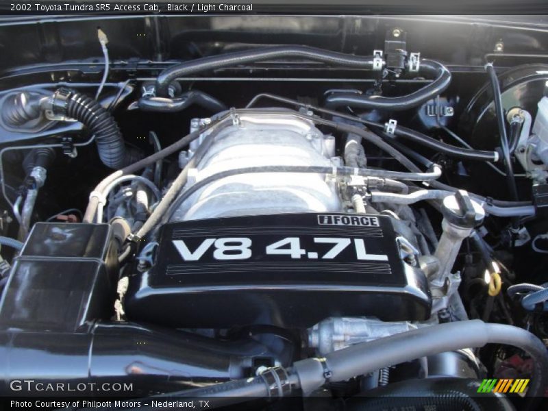 Black / Light Charcoal 2002 Toyota Tundra SR5 Access Cab