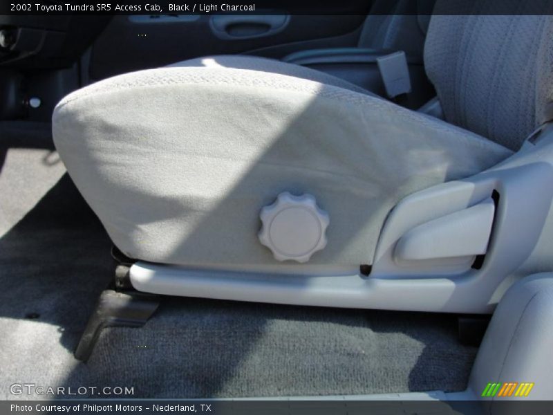 Black / Light Charcoal 2002 Toyota Tundra SR5 Access Cab