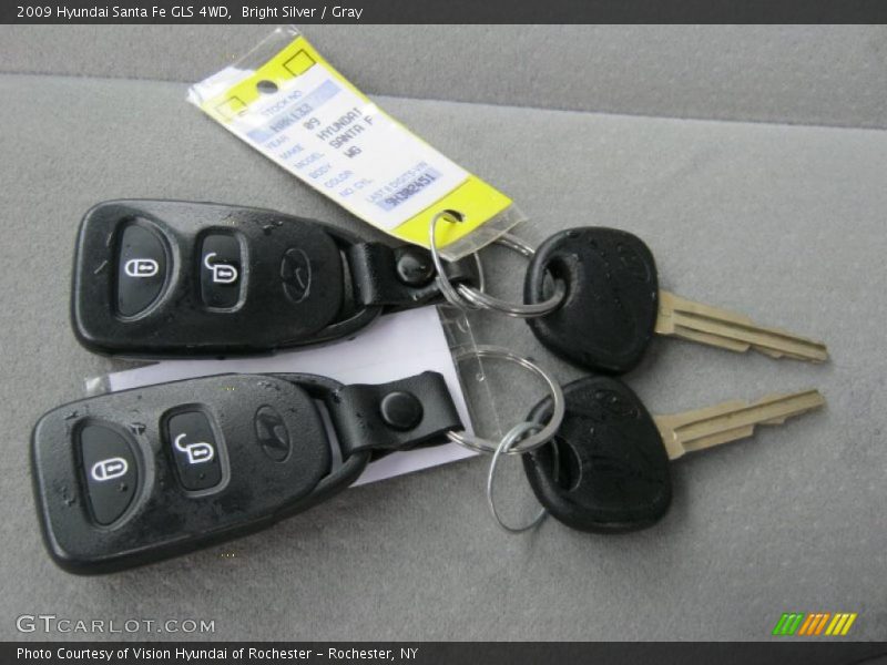 Bright Silver / Gray 2009 Hyundai Santa Fe GLS 4WD