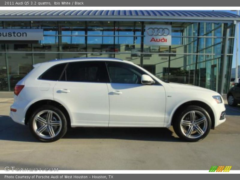 Ibis White / Black 2011 Audi Q5 3.2 quattro