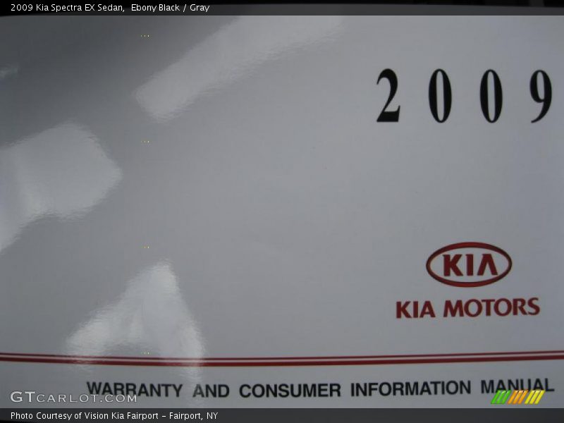 Ebony Black / Gray 2009 Kia Spectra EX Sedan