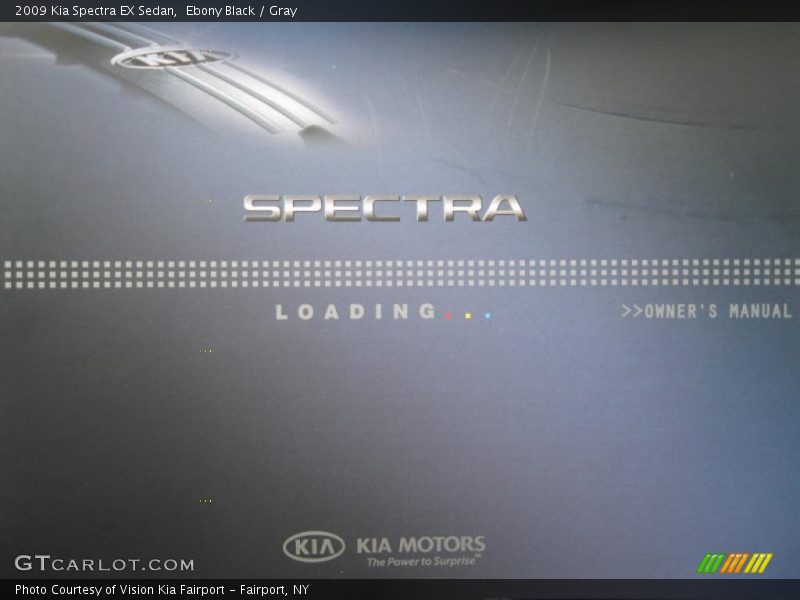 Ebony Black / Gray 2009 Kia Spectra EX Sedan