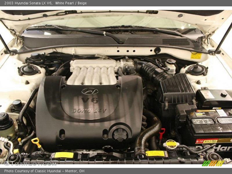 White Pearl / Beige 2003 Hyundai Sonata LX V6