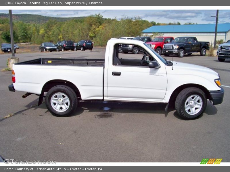 Super White / Charcoal 2004 Toyota Tacoma Regular Cab
