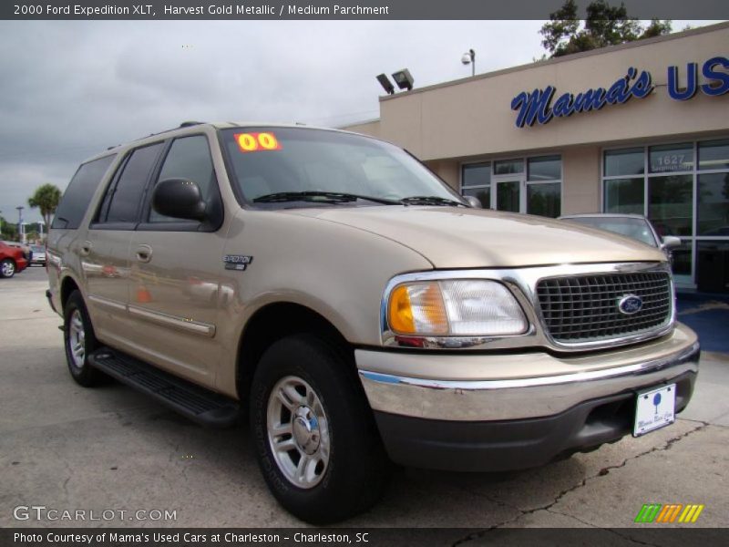 Harvest Gold Metallic / Medium Parchment 2000 Ford Expedition XLT