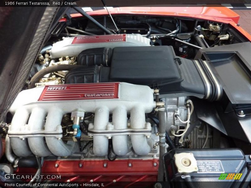  1986 Testarossa  Engine - 4.9 Liter DOHC 48-Valve Flat 12 Cylinder