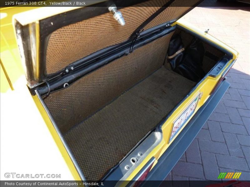  1975 308 GT4  Trunk