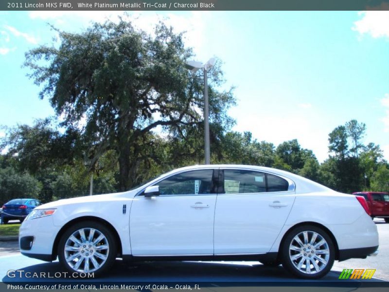 White Platinum Metallic Tri-Coat / Charcoal Black 2011 Lincoln MKS FWD