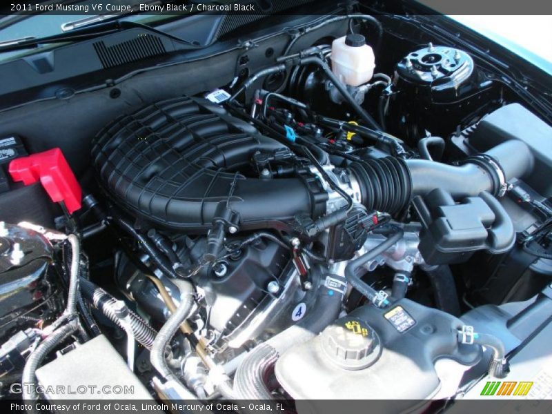 Ebony Black / Charcoal Black 2011 Ford Mustang V6 Coupe