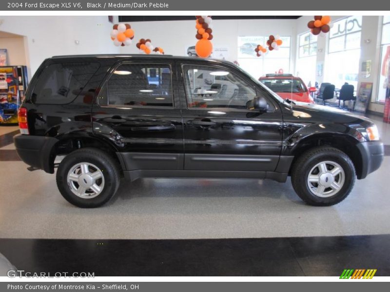 Black / Medium/Dark Pebble 2004 Ford Escape XLS V6