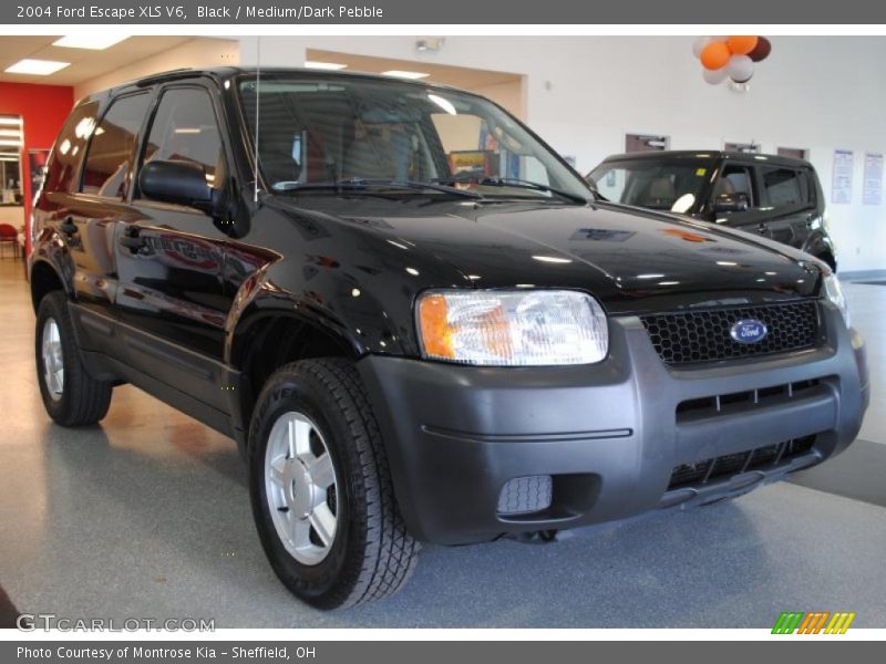 Black / Medium/Dark Pebble 2004 Ford Escape XLS V6