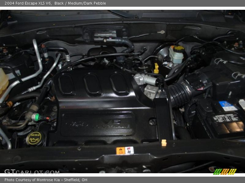 Black / Medium/Dark Pebble 2004 Ford Escape XLS V6