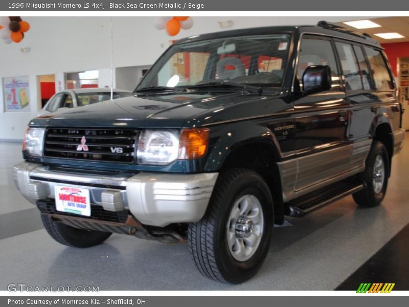 Black Sea Green Metallic / Beige 1996 Mitsubishi Montero LS 4x4