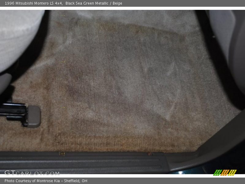 Black Sea Green Metallic / Beige 1996 Mitsubishi Montero LS 4x4