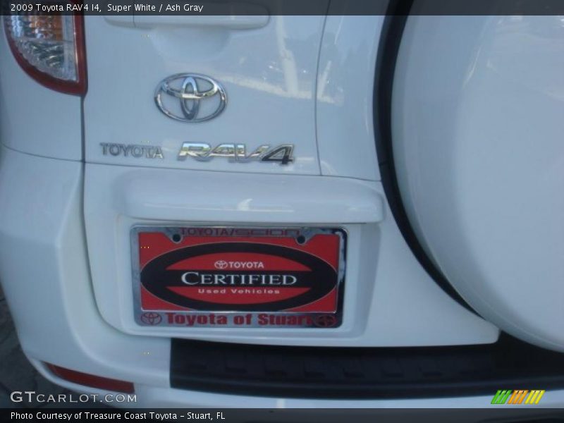 Super White / Ash Gray 2009 Toyota RAV4 I4