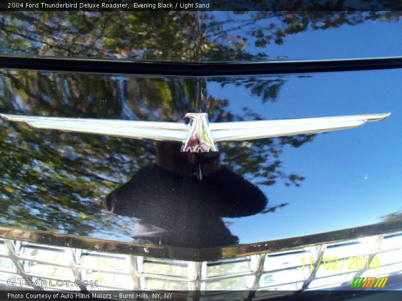 Evening Black / Light Sand 2004 Ford Thunderbird Deluxe Roadster