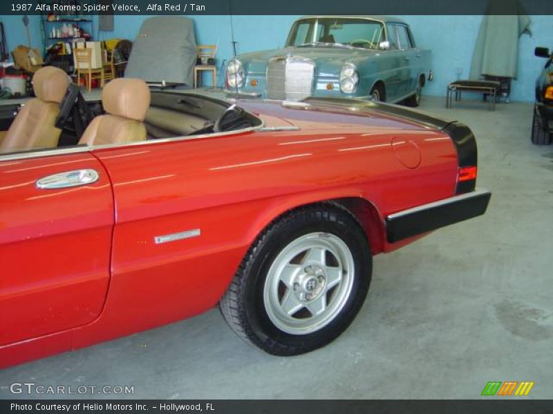 Alfa Red / Tan 1987 Alfa Romeo Spider Veloce