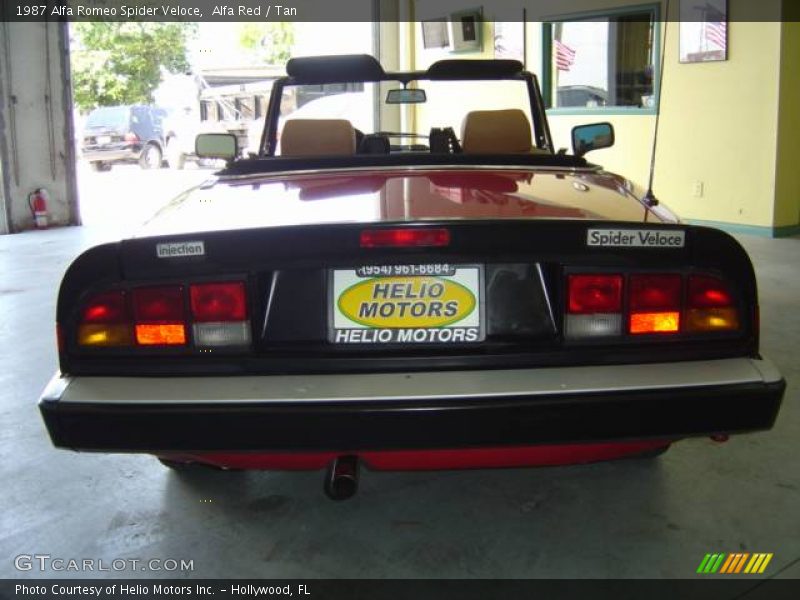 Alfa Red / Tan 1987 Alfa Romeo Spider Veloce