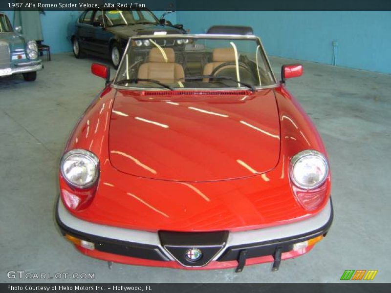 Alfa Red / Tan 1987 Alfa Romeo Spider Veloce