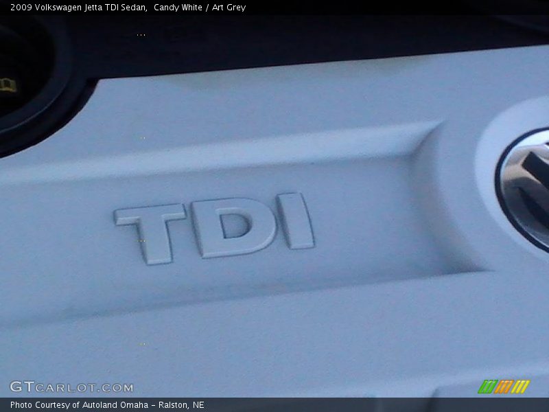 Candy White / Art Grey 2009 Volkswagen Jetta TDI Sedan