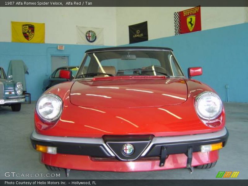Alfa Red / Tan 1987 Alfa Romeo Spider Veloce