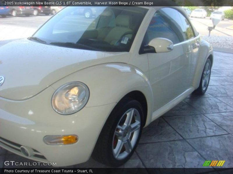 Harvest Moon Beige / Cream Beige 2005 Volkswagen New Beetle GLS 1.8T Convertible