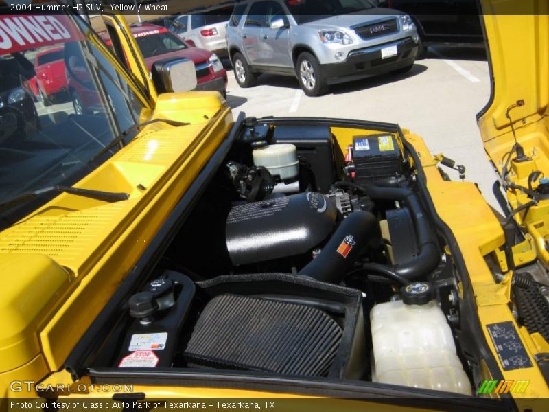 Yellow / Wheat 2004 Hummer H2 SUV