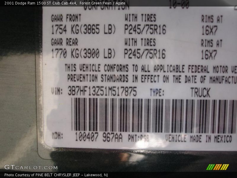 Forest Green Pearl / Agate 2001 Dodge Ram 1500 ST Club Cab 4x4