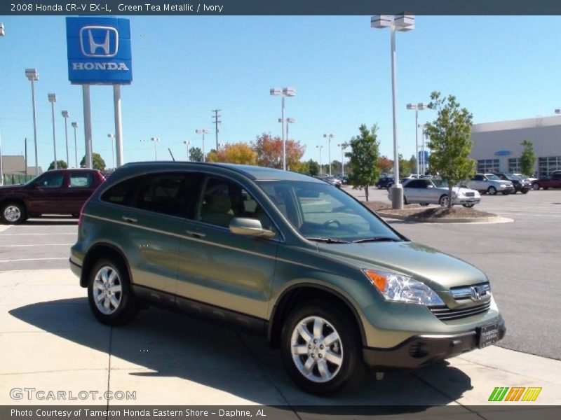 Green Tea Metallic / Ivory 2008 Honda CR-V EX-L