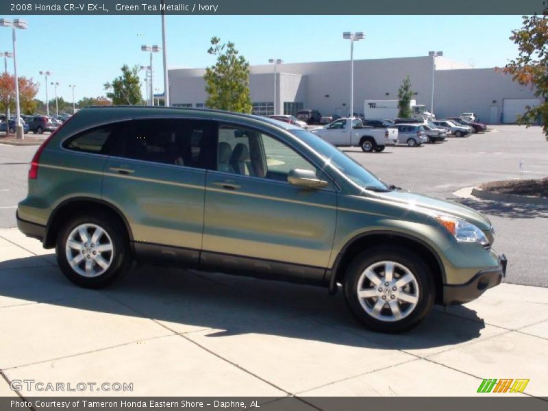 Green Tea Metallic / Ivory 2008 Honda CR-V EX-L