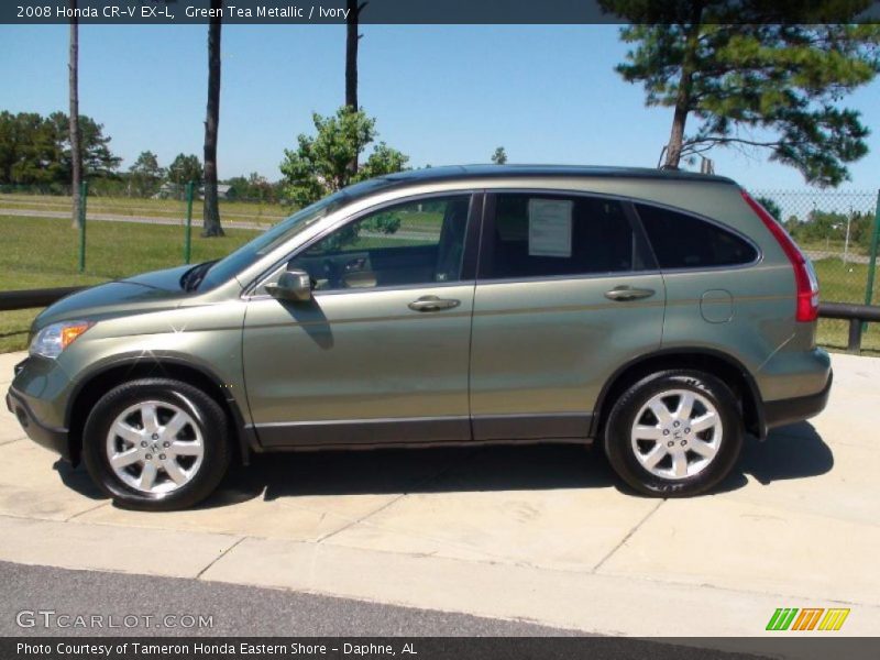 Green Tea Metallic / Ivory 2008 Honda CR-V EX-L