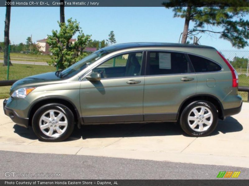 Green Tea Metallic / Ivory 2008 Honda CR-V EX-L