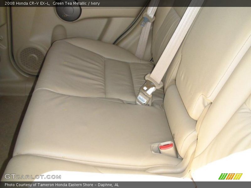 Green Tea Metallic / Ivory 2008 Honda CR-V EX-L