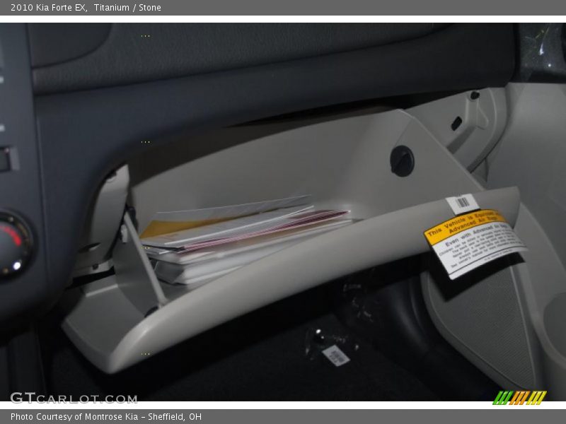 Titanium / Stone 2010 Kia Forte EX