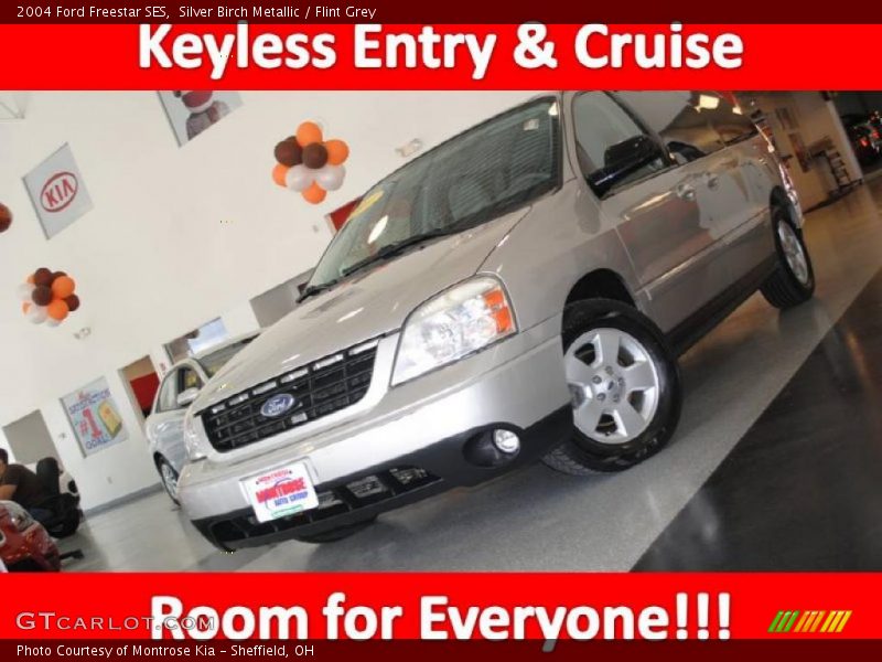 Silver Birch Metallic / Flint Grey 2004 Ford Freestar SES