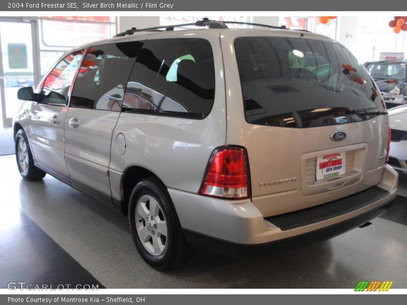 Silver Birch Metallic / Flint Grey 2004 Ford Freestar SES