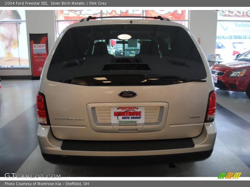Silver Birch Metallic / Flint Grey 2004 Ford Freestar SES