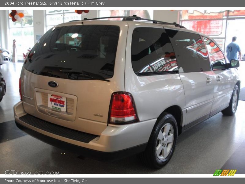 Silver Birch Metallic / Flint Grey 2004 Ford Freestar SES