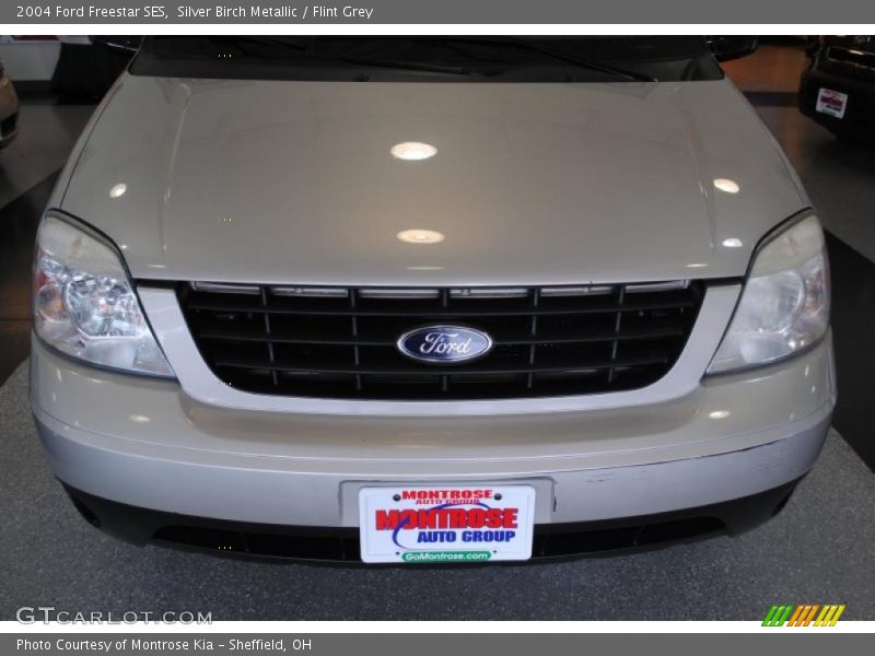 Silver Birch Metallic / Flint Grey 2004 Ford Freestar SES