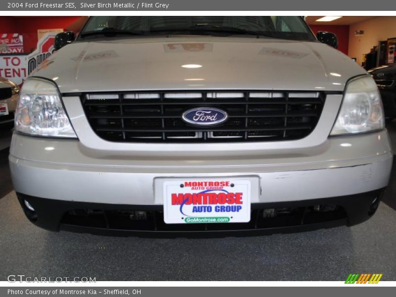 Silver Birch Metallic / Flint Grey 2004 Ford Freestar SES