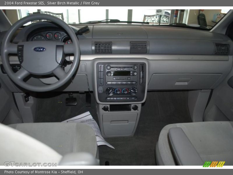 Silver Birch Metallic / Flint Grey 2004 Ford Freestar SES