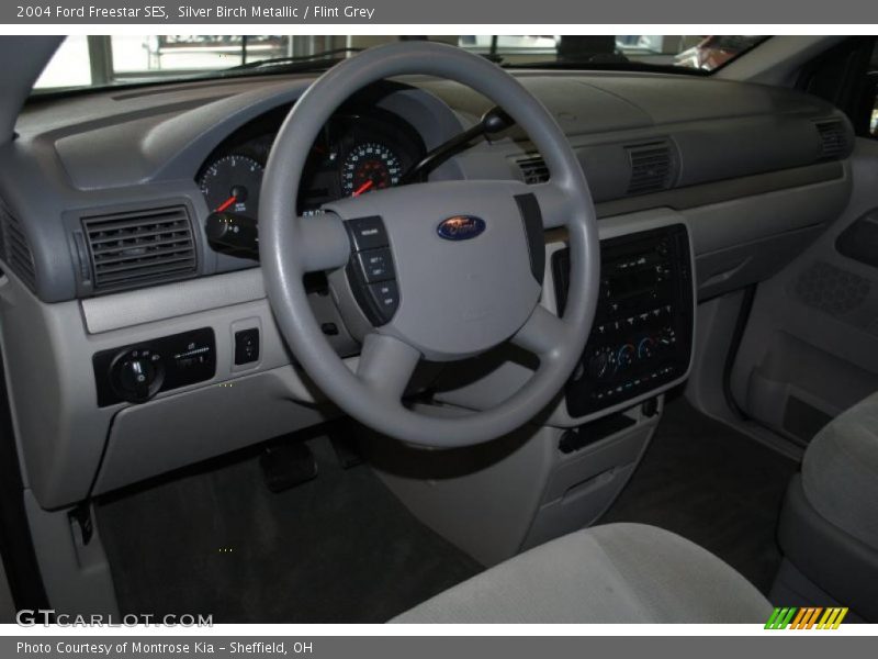 Silver Birch Metallic / Flint Grey 2004 Ford Freestar SES
