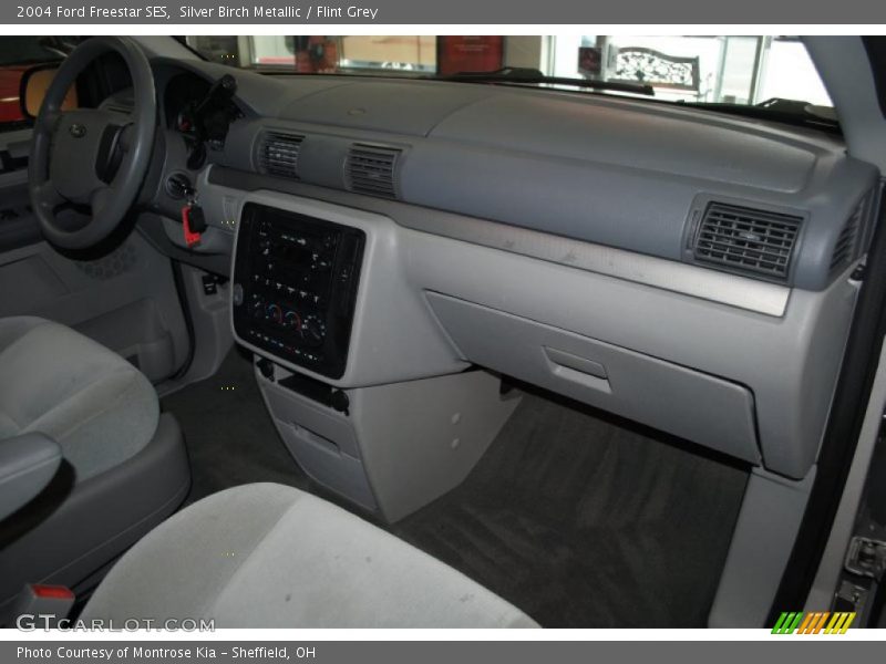 Silver Birch Metallic / Flint Grey 2004 Ford Freestar SES