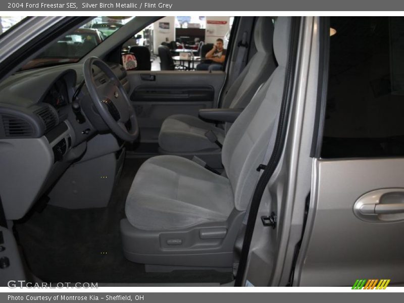 Silver Birch Metallic / Flint Grey 2004 Ford Freestar SES