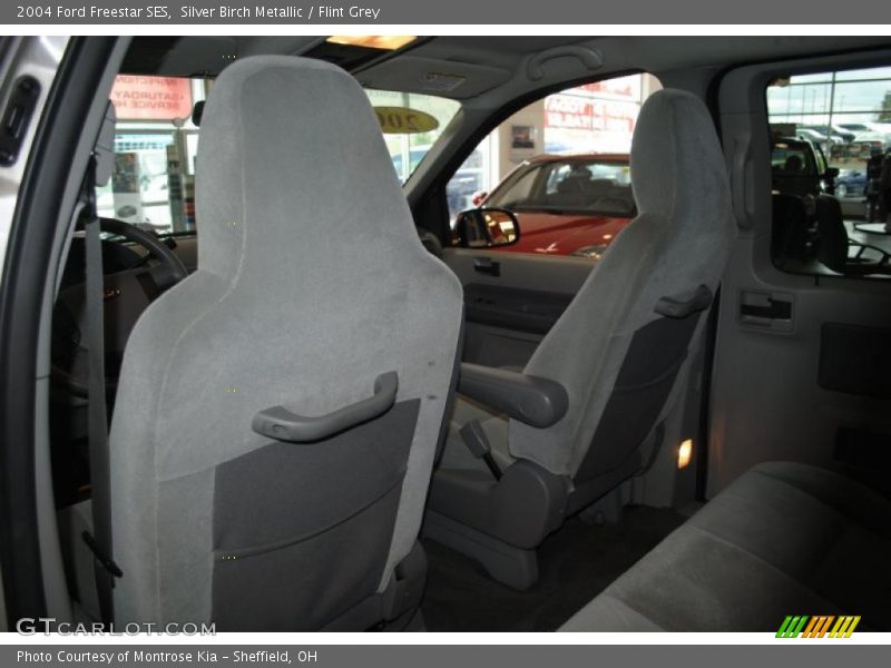 Silver Birch Metallic / Flint Grey 2004 Ford Freestar SES