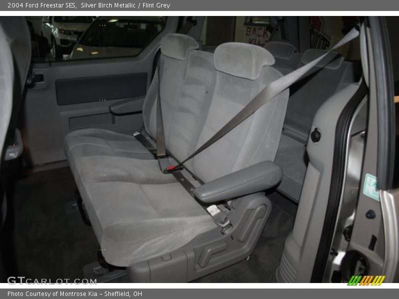 Silver Birch Metallic / Flint Grey 2004 Ford Freestar SES