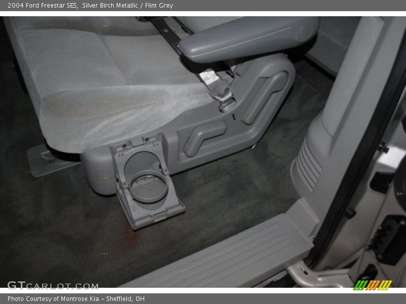 Silver Birch Metallic / Flint Grey 2004 Ford Freestar SES