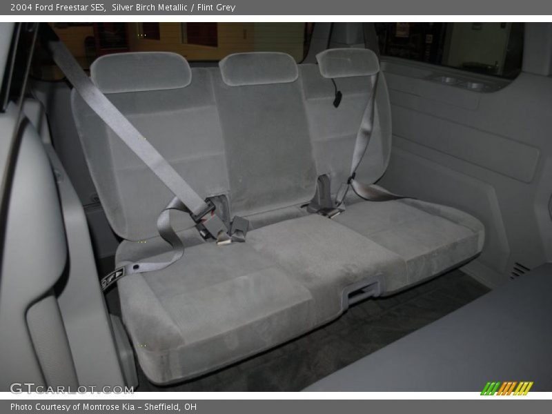 Silver Birch Metallic / Flint Grey 2004 Ford Freestar SES