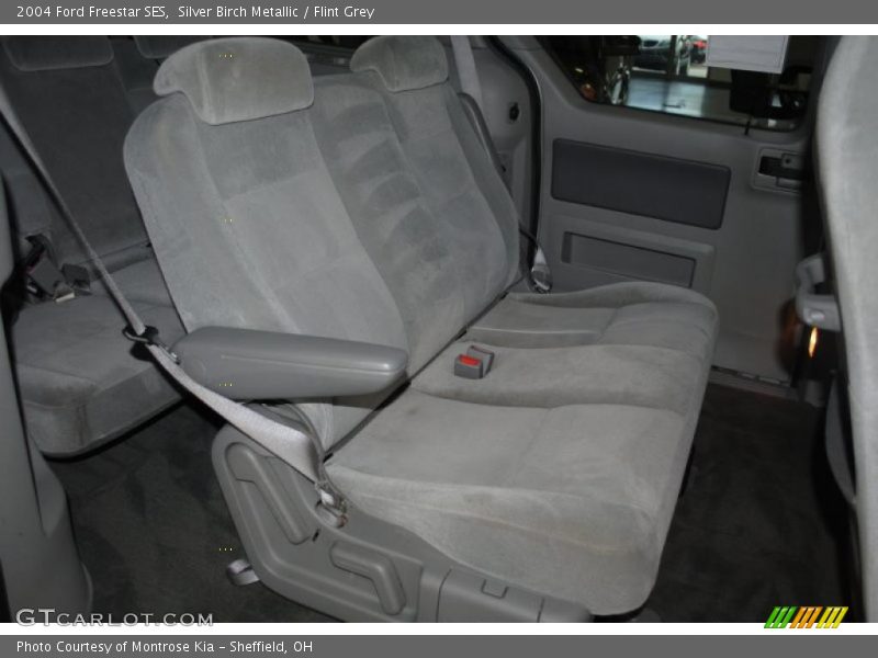 Silver Birch Metallic / Flint Grey 2004 Ford Freestar SES